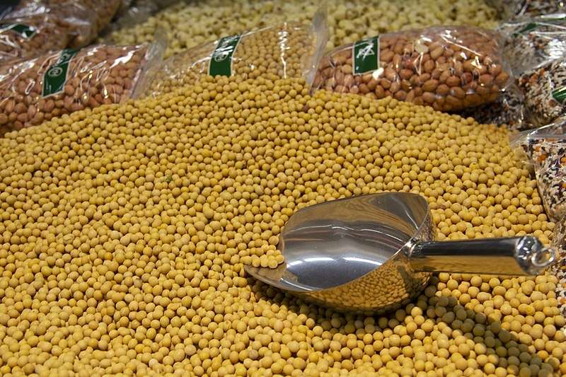 Inflation hits soybean, up 48% in 102 days 1
