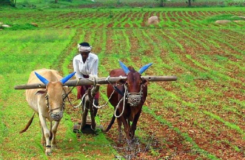 Modi government gives big relief to farmers, increases fertilizer subsidy by 140 percent 1