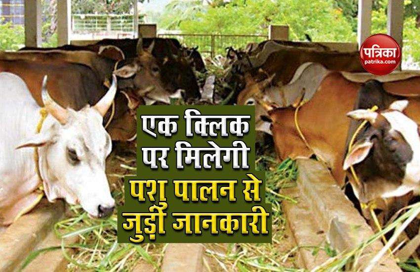 E-Gopala App: PM Modi's gift to cattle owners, income from new app will double 1