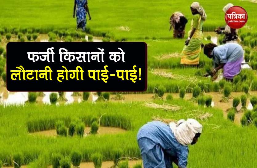 PM Kisan Yojana: If you are also getting 6000 rupees as a farmer? Will have to return pie-pie 1