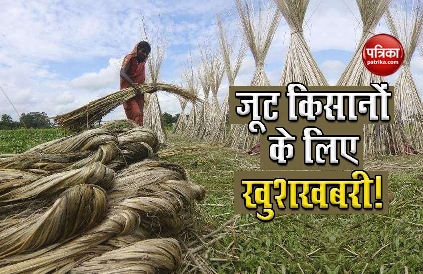 Jute farmers are kind to the government, new announcement will benefit 3.7 lakh workers 1