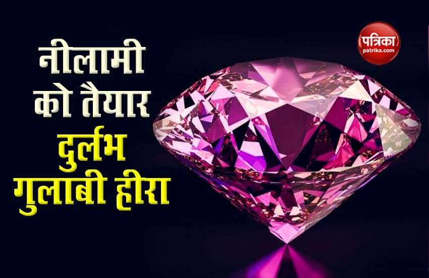 The world's largest pink diamond will be auctioned tomorrow, being valued at 281 crores 1