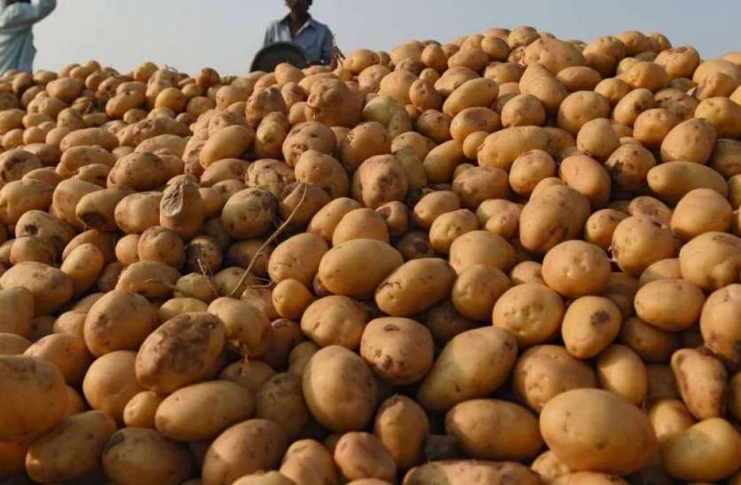 Potato price rises by 4 rupees amid farmer agitation, 81% fall in a month 1
