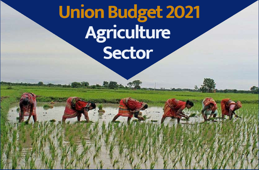 Union Budget 2021: How much will the farmers benefit in this budget, what will be the new schemes for the agriculture sector 1