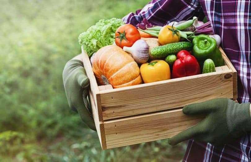 Fruits and vegetables sold with the help of the app by taking advantage of new agricultural laws, earned Rs 6.5 crores 1