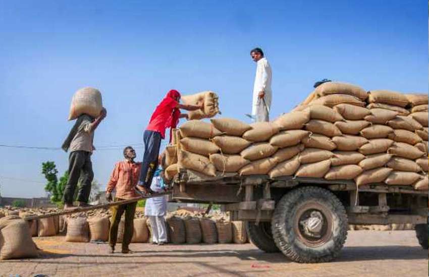 Good news amid Corona crisis: Food stocks, record production of food grains will be filled in 2020-21 1