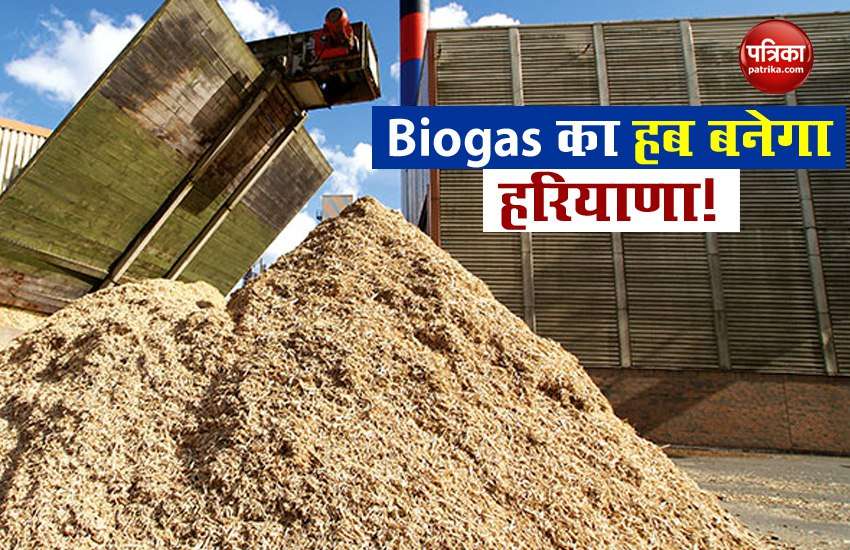 Food to be made from cow dung gas in every house of Haryana, government started plan 1